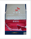SK표창패 2008